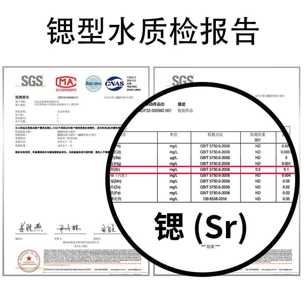 央小啤12P 比利时小麦全麦精酿啤酒 锶型水28天慢发酵进口麦芽整箱送礼 500ml 6瓶 礼盒装