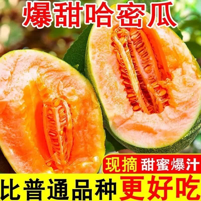 正宗脆甜西州蜜25生鲜应季时令水果京东物流产地直发 脆甜多汁8-10斤(2-4粒装)带箱