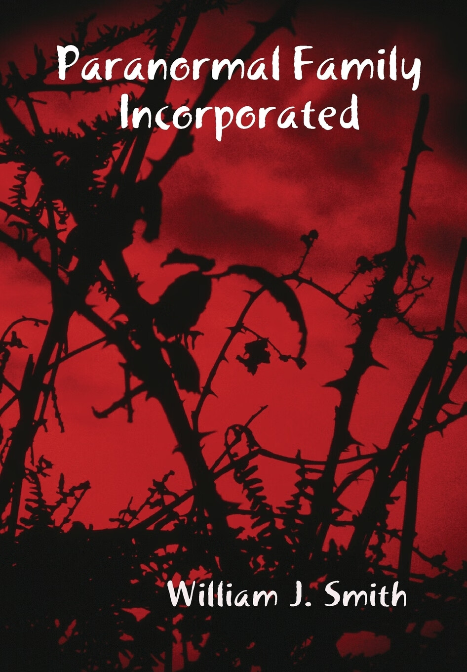 【预售 按需印刷】paranormal family incorporated