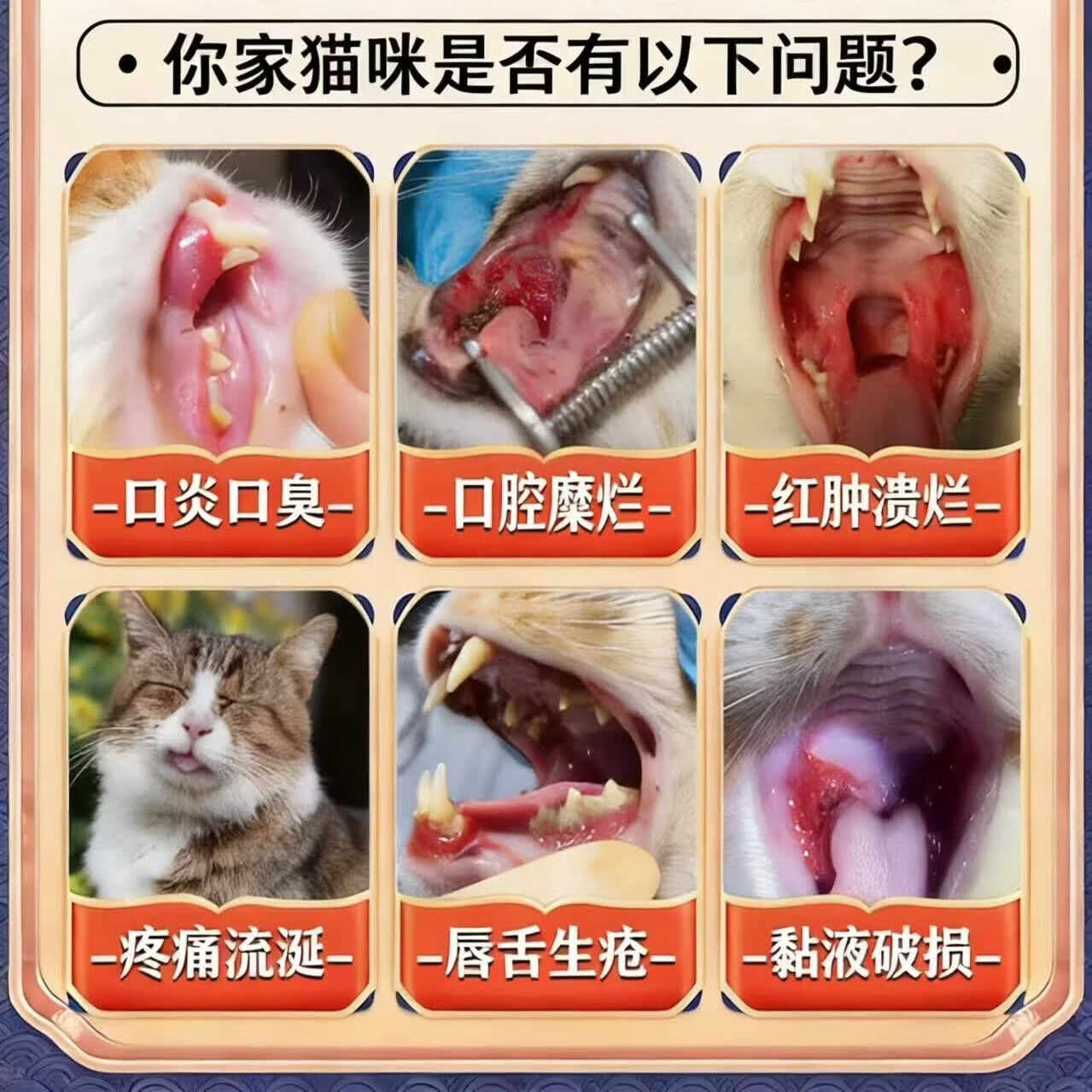 猫咪口炎专用猫咪流口水牙龈红肿抑制烂嘴口腔清洁除臭专用口服液 买五盒发九盒【永不再犯】
