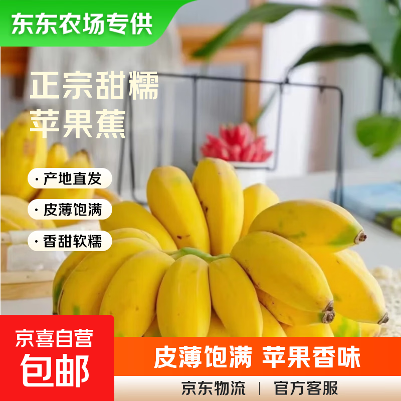 【东东农场专供】广东徐闻苹果粉蕉应季水果新鲜现摘软糯香蕉 净重2斤装6-12根 青果发货