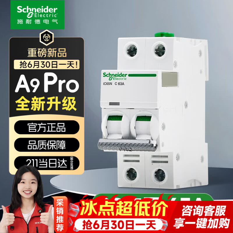 施耐德空气开关 家用微型断路器 双进双出双极 A9pro升级款2P 63A空开