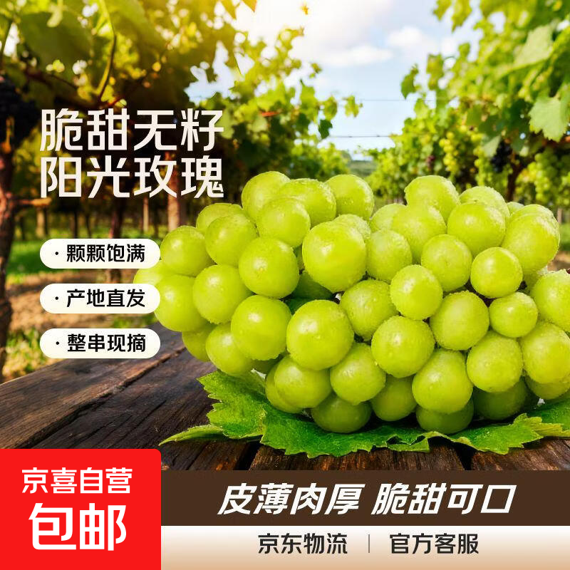 云南阳光玫瑰葡萄当季脆甜无籽香印提子青提晴王葡萄新鲜水果京东 一级果净重3斤(单果6g)