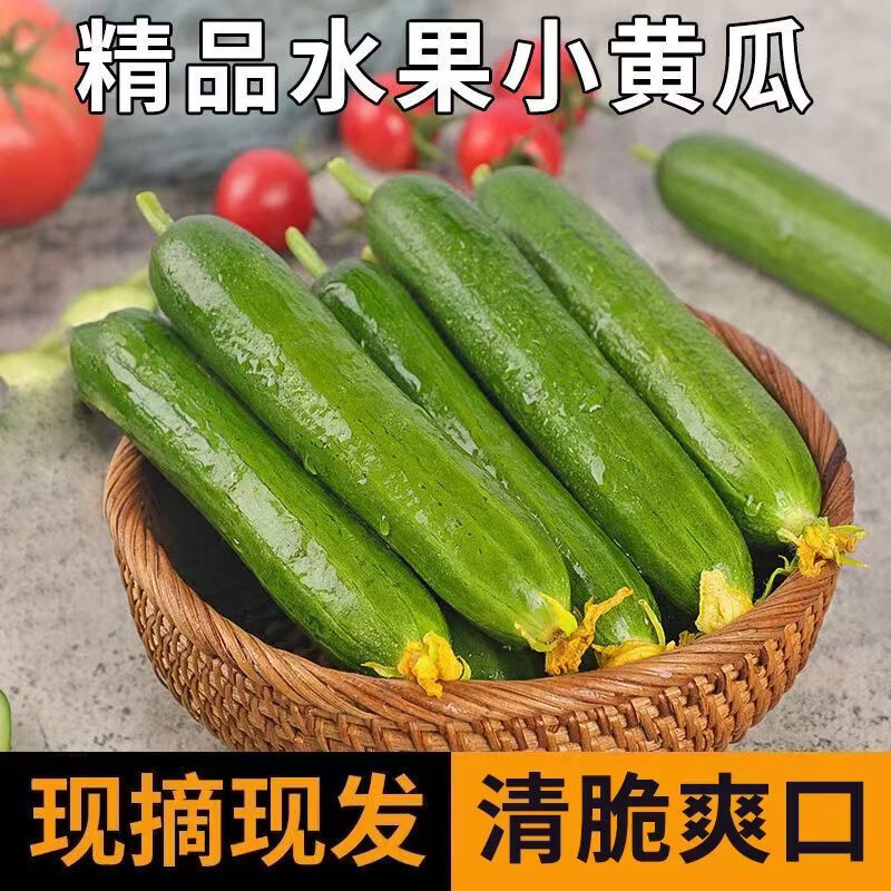 亨泰丰源水果小黄瓜净5斤 11.3元 - 86线报