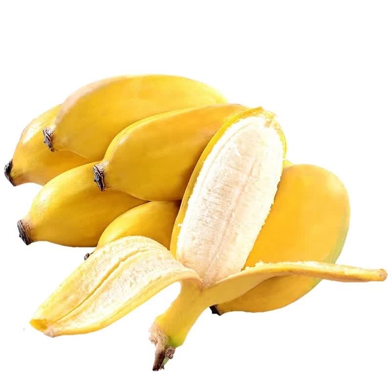 广西小米蕉 粉蕉 新鲜水果 5斤