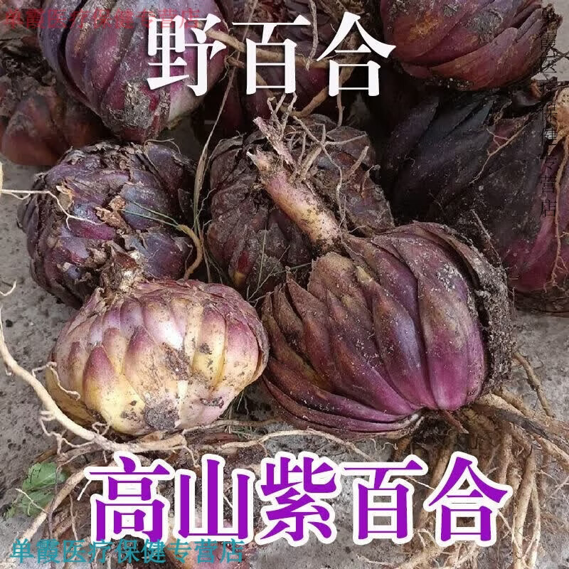 同仁堂贵州野生紫百合高山野百合农家采挖中药材百合干新货晒干煲汤 250克野生紫百合干
