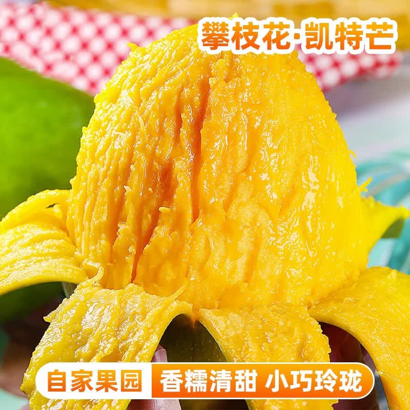 落沙园攀枝花凯特芒新鲜水果香甜可口肉厚多汁大果现摘现发 9斤分享装[多人分享装-较划算]净8.5斤 A+级精选大果[单果300g+]甜