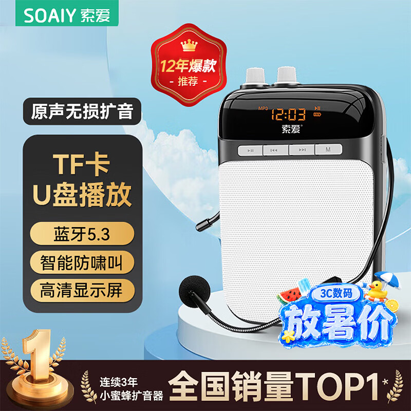 索爱（soaiy）S318小蜜蜂扩音器教师专用蓝牙音箱音响老师教学讲课喇叭腰挂麦克风导游便携式喊话礼物TF卡U盘 黑