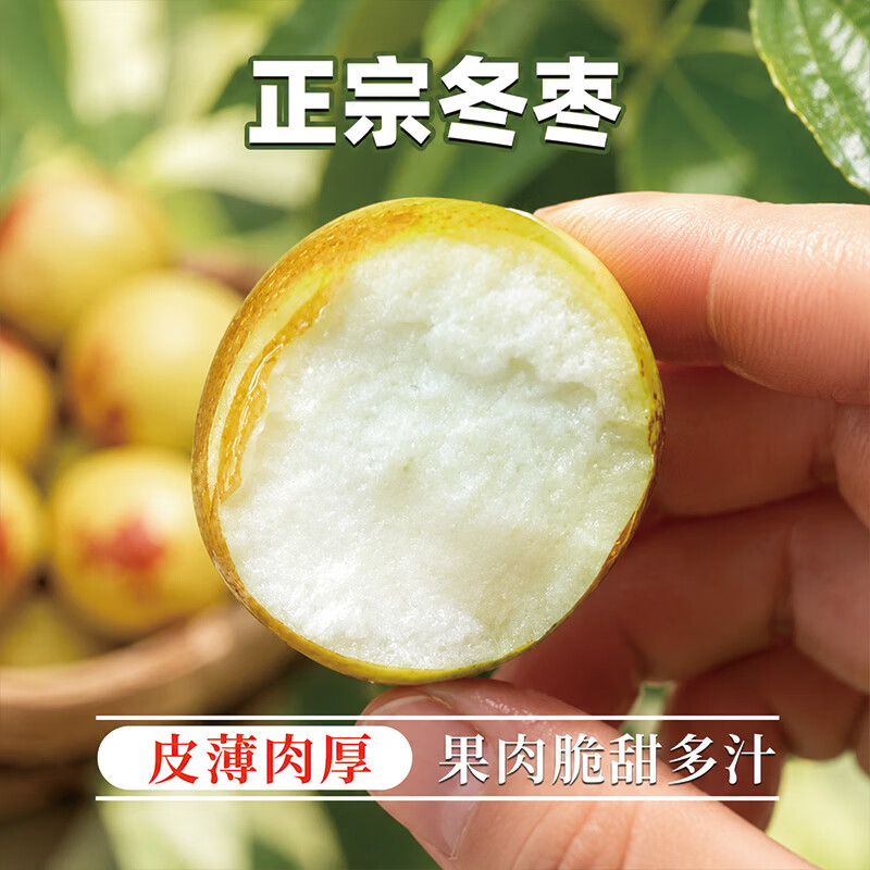 异果恋冬枣新鲜脆枣 山西运城牛奶冬枣现摘现发水果礼盒装整箱 3斤装 普通快递