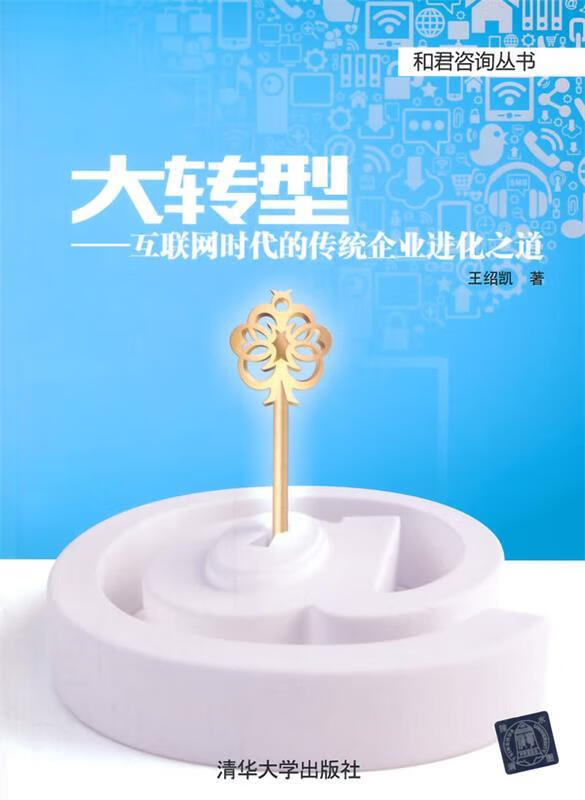 大转型-互联网时代的传统企业进化之道 王绍凯著【正版】