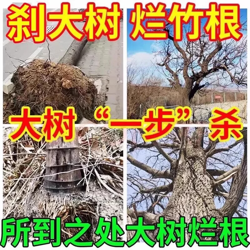 灭竹子专用烂竹根连强力除竹粉腐蚀竹根开荒地灌木杂草一扫光神器 买五桶发九桶【永不返青】