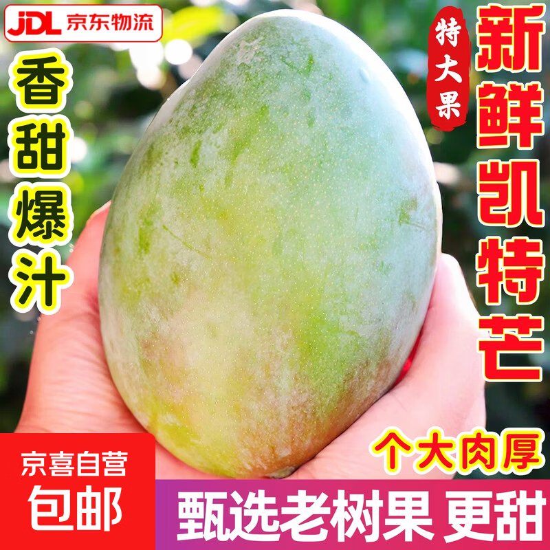 凯特芒大果9斤 14.9元 - 86线报
