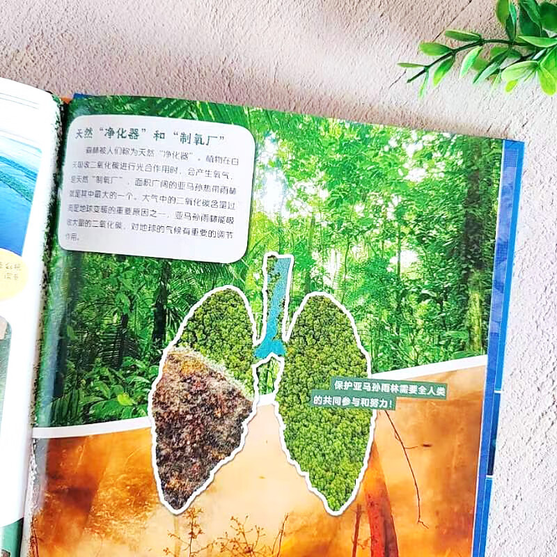 不可思议的自然奇观 青少年自然探索百科 图说天下精装版详情图