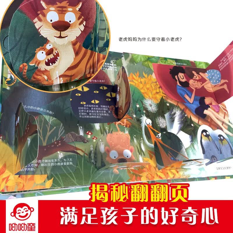 呦呦童揭秘科普翻翻书低幼版（套装共4册）揭秘太空/食物/时间/生命 问答式亲子互动 童书儿童幼儿启蒙认知科普绘本立体书详情图