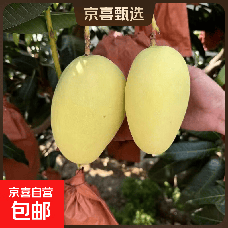 凯特芒带箱10斤 17.9元，香水柠檬带箱5斤 9.1元，黄金百香果20粒 5.9元 - 86线报