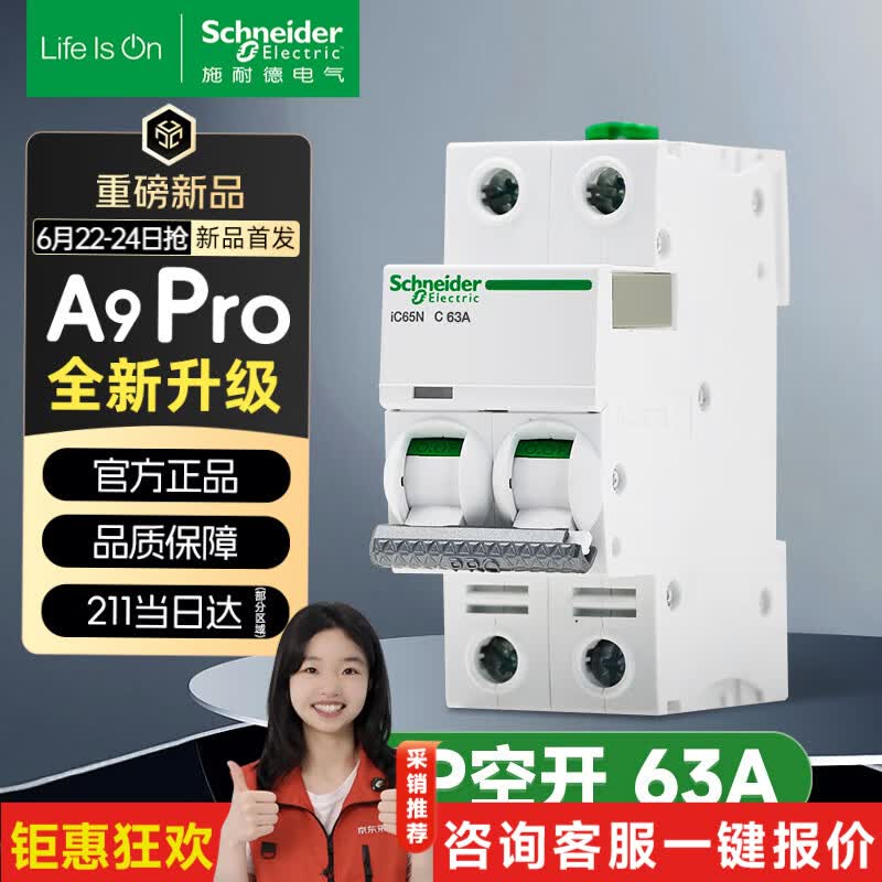 施耐德空气开关 家用微型断路器 双进双出双极 A9pro升级款2P 63A空开