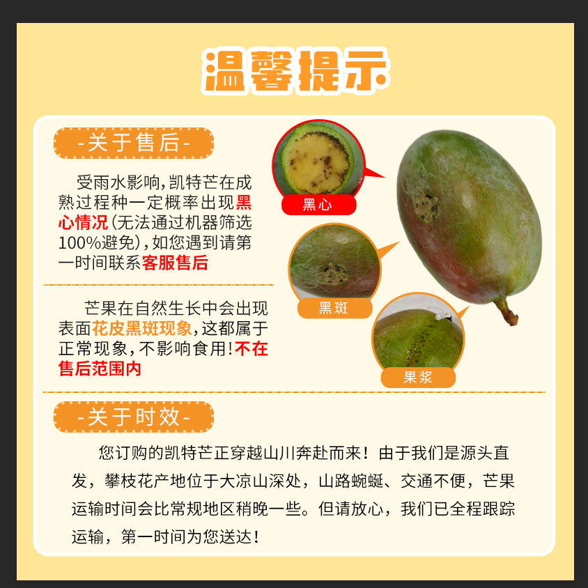 译优农四川攀枝花凯特芒特大芒果 新鲜水果当季青皮超甜芒果 源头直发 9斤果王 单果1.2斤起 【当天现摘速发】