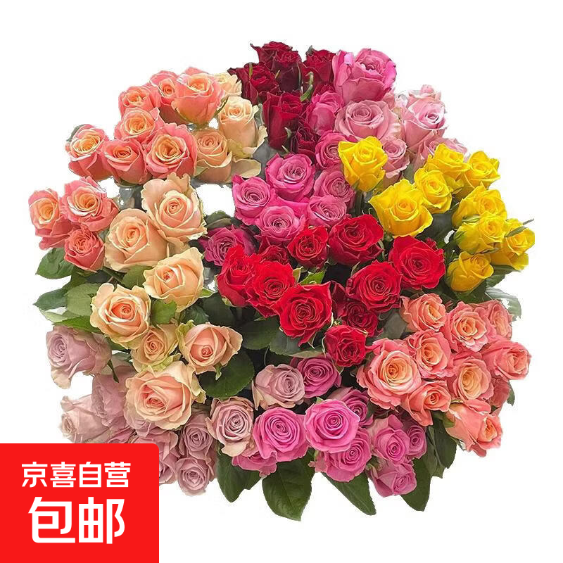 【渠道专享2】玫瑰花鲜花云南鲜花基地直发水养客厅插花 40-50cm随机玫瑰30支
