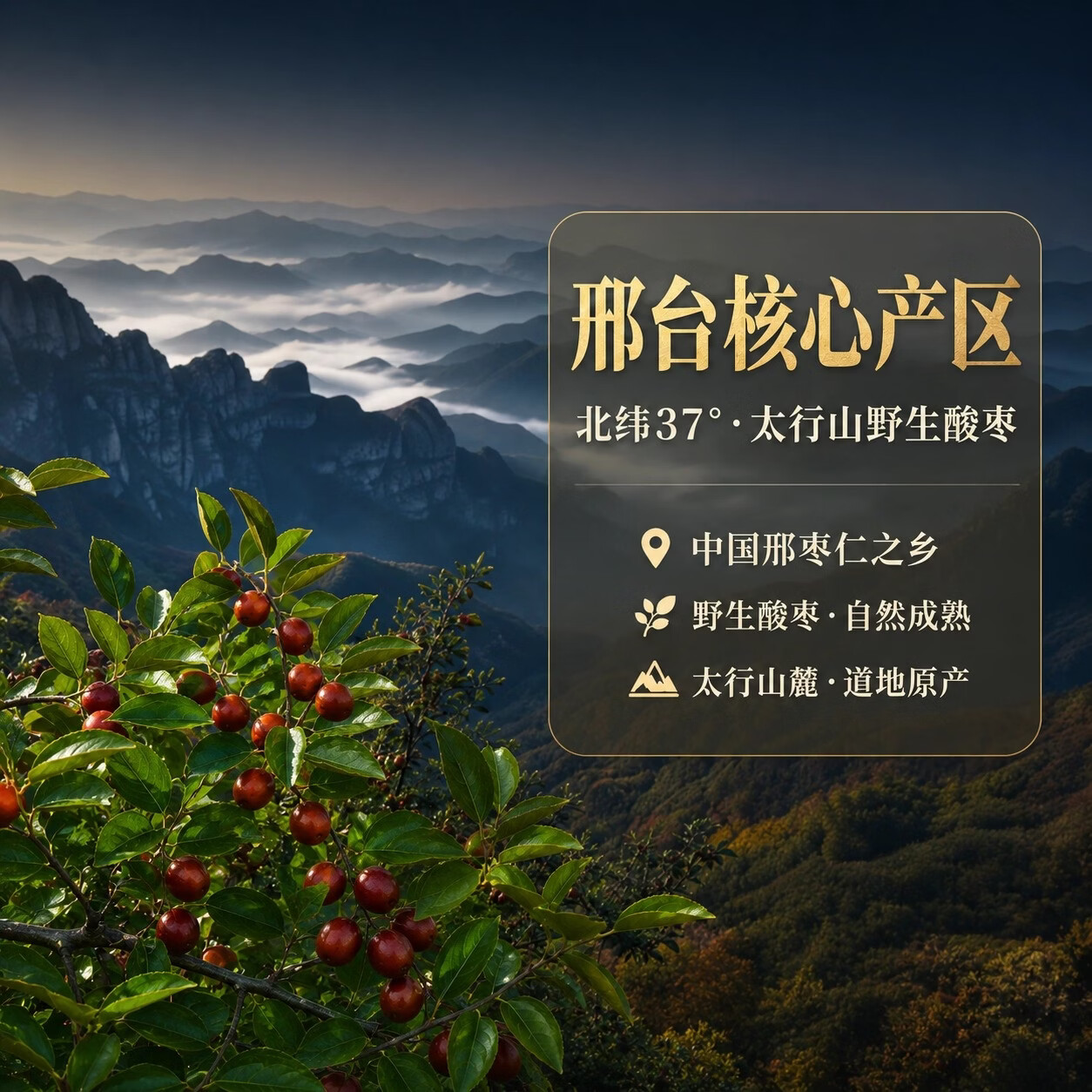 鸿卓堂酸枣仁粉河北邢台道地98级正宗天然野生特级炒熟现磨三伏天养生饮 道地野生酸枣仁粉【熟】 250g*2罐