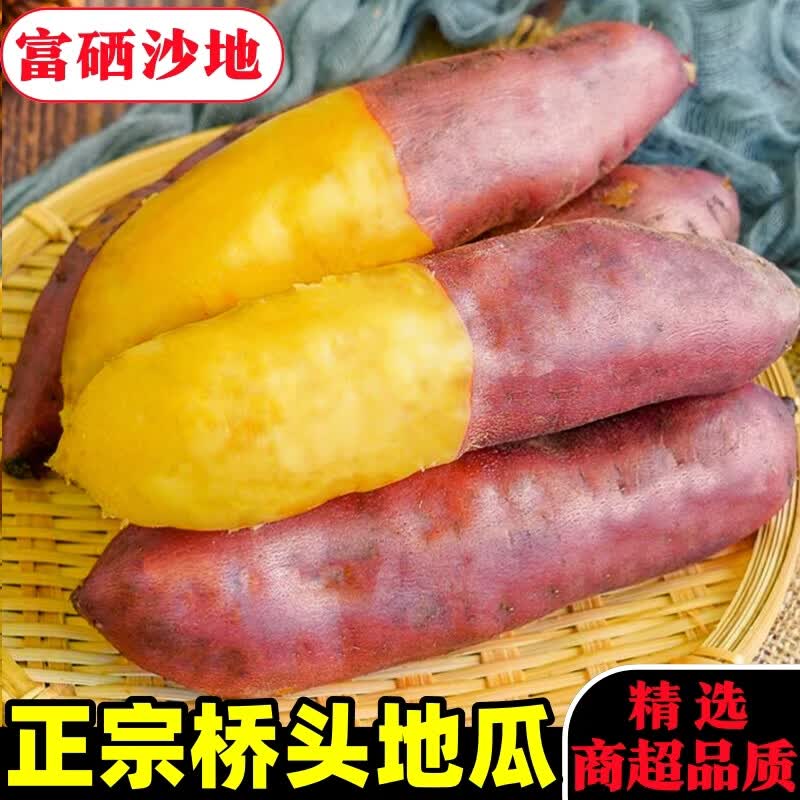 黄六爷正宗海南澄迈桥头地瓜富硒沙地番薯产地直发新鲜黄心圆果红薯旗舰 5斤 小果【不正宗包赔】甜糯无丝
