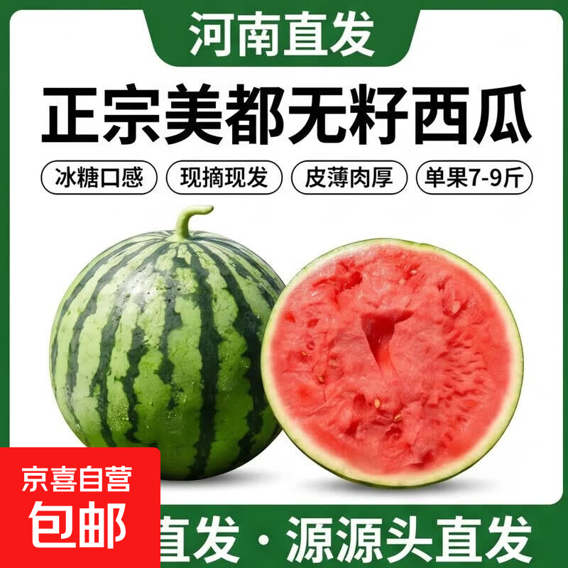 正宗冰糖麒麟美都有籽西瓜新鲜现摘现发皮薄肉甜河南夏邑源头直发 7-9斤1粒（净重7斤+）