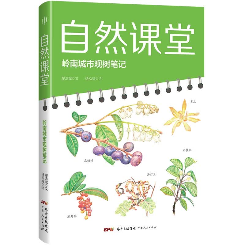 自然课堂——岭南城市观树笔记