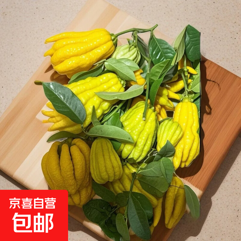 生活鲜花四川采摘川佛手佛手香味四溢佛手柑佛手水培清供100克 川佛手1-2个