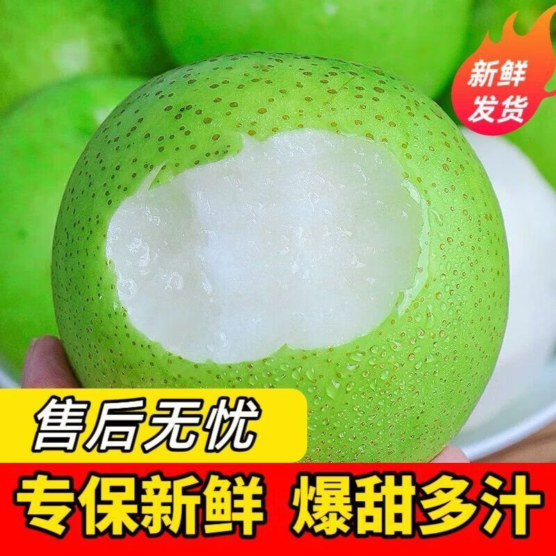 格沃斯(GEWOSI)安徽砀山梨皇冠梨青皮梨水果新鲜梨子应季水果超市 带箱9斤精选装特大果250g+
