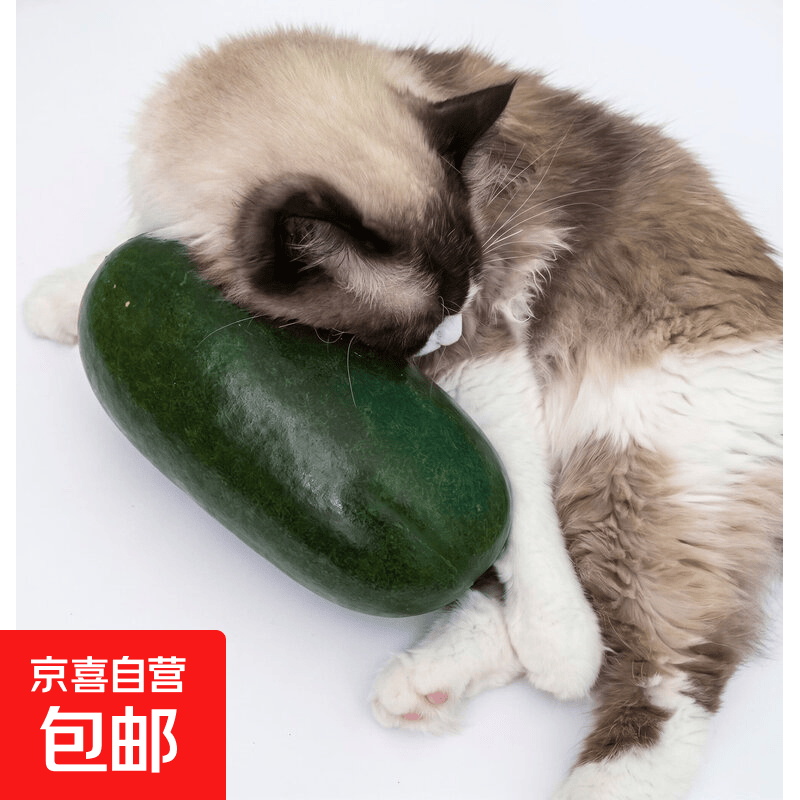 正宗水果冬瓜低卡高纤维减脂代餐凉拌炖汤应季蔬菜纳凉冬瓜 净瓜 3斤 家庭装