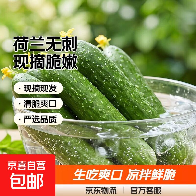【东东买菜】山东水果黄瓜生吃荷兰无刺现摘脆嫩小青瓜当季蔬菜 带箱3斤 2.90斤