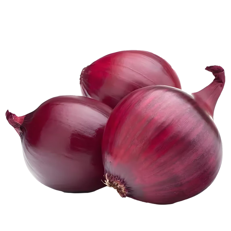 �ɹ����� ���������ƤԲ�� ��� 1��