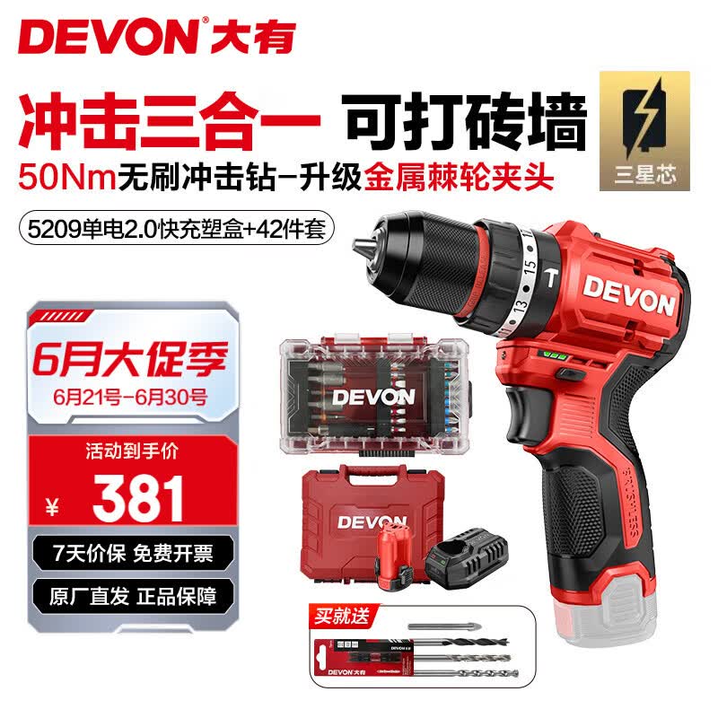 大有（Devon）12V锂电钻5208U 冲击钻5209U家用充电手电钻50Nm大扭力电动螺丝刀 5209U单电2.0快充+42件套 三星芯【塑盒装】