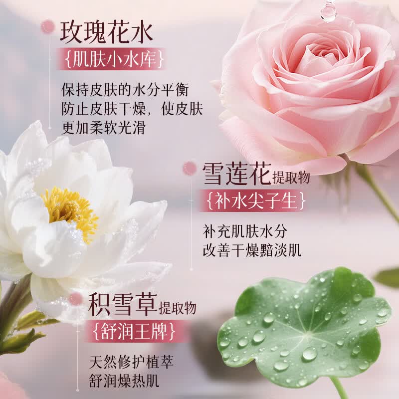 ESCP玫瑰花露补水保湿面膜补水修护肌肤大学生男女补水用 玫瑰面膜*2盒