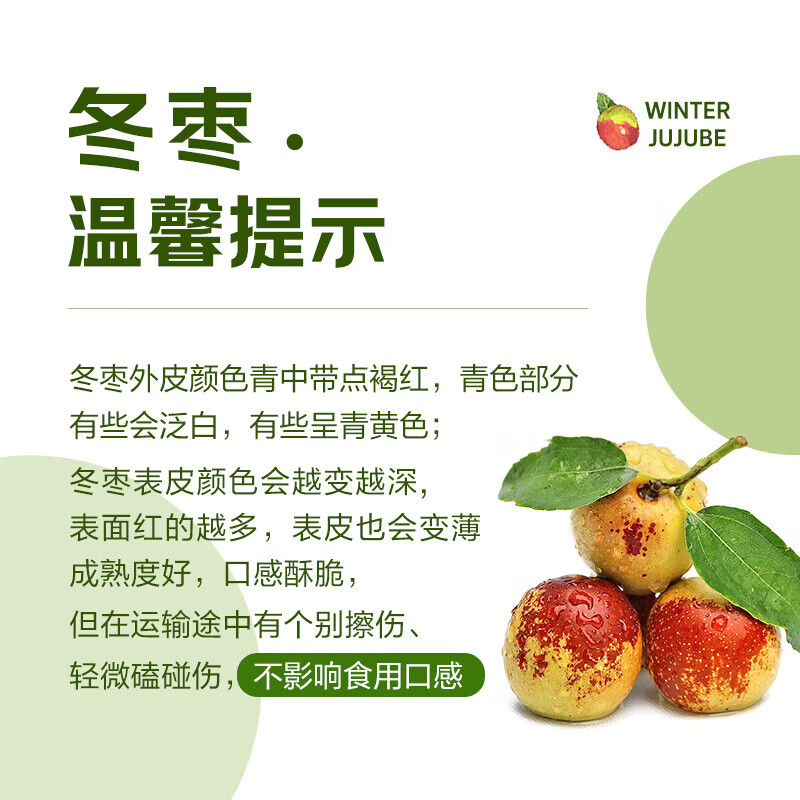 佟创陕西大荔冬枣 脆甜冰糖冬枣新鲜当季时令水果 净重4.5斤大果【单果12g+】