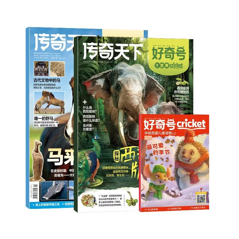 【现货包邮】7-15岁青少年暑期阅读 好奇号/万物单期杂志订阅 2025/2026年订阅 小学生课外阅读科普百科知识拓展 通识教育兴趣培养 语文写作素材积累少儿阅读 杂志铺杂志订阅暑期阅读包 【现货】
