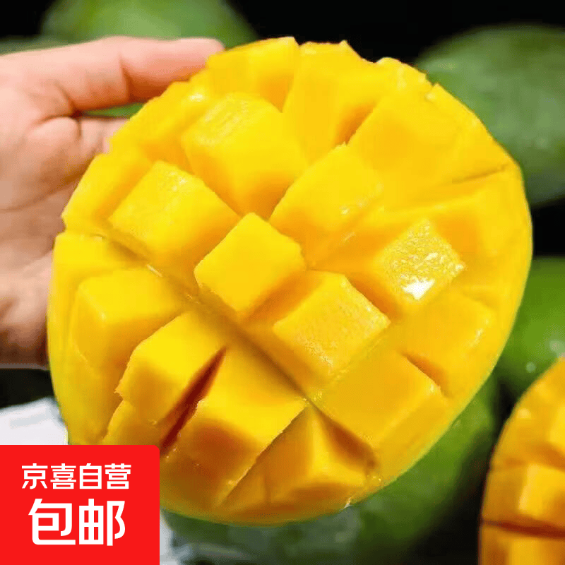 凯特芒芒果当季热带水果超甜现摘孕妇台芒整箱时令礼盒 凯特芒果净重1.8-2斤单果500g+