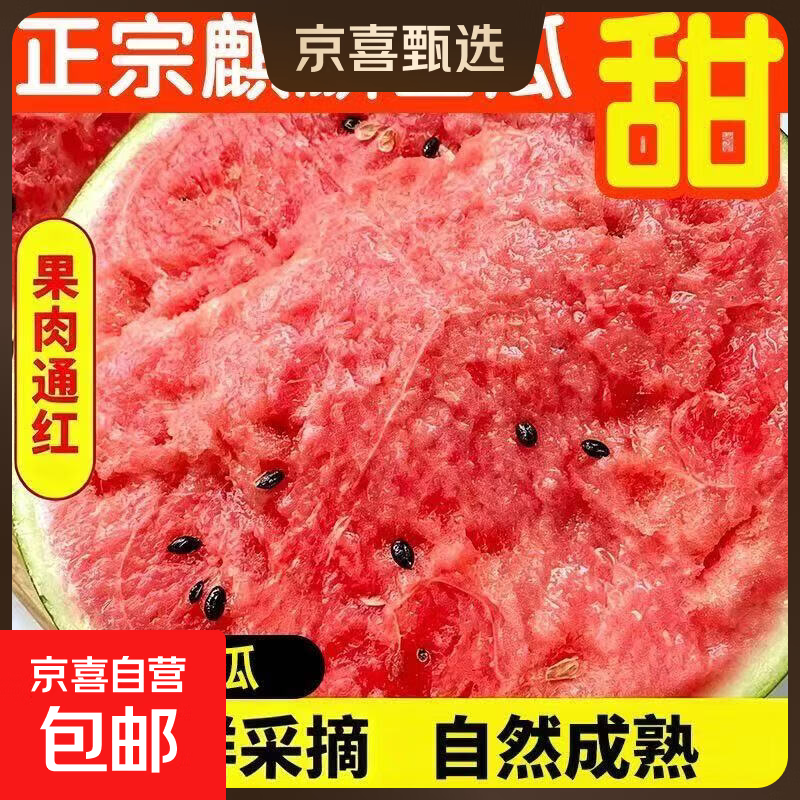 正宗麒麟西瓜当季新鲜水果西瓜现摘薄皮有籽脆甜多汁应季水果 净重5-6斤装