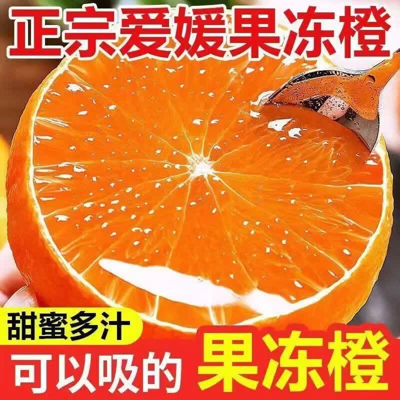 【现货】四川正宗爱媛38号果冻橙当季新鲜孕妇水果桔子橘橙 净重8.5斤大果(单果70-80mm)