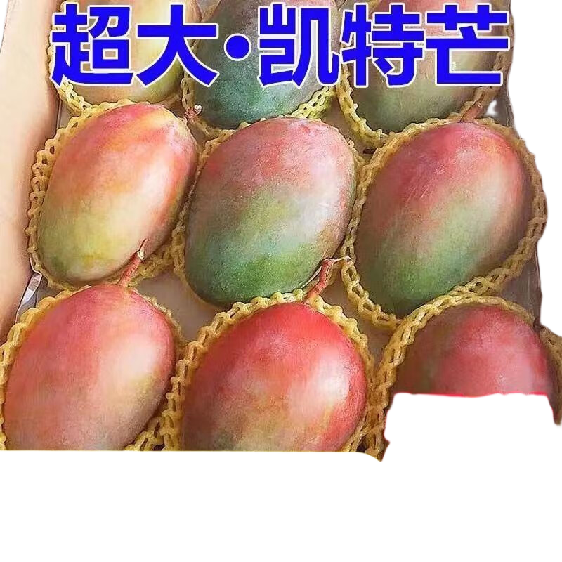 集南鲜 攀枝花凯特芒果 现摘青皮黄皮甜心芒果热带芒果新鲜时令生鲜水果 含箱5斤  400g+ 净重4.5斤