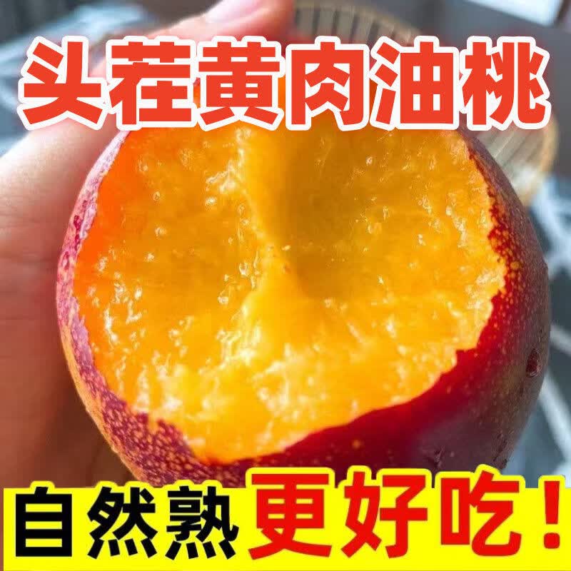 黄肉油桃9.9元/5斤起！青苹果、西梅、冬枣超值水果团