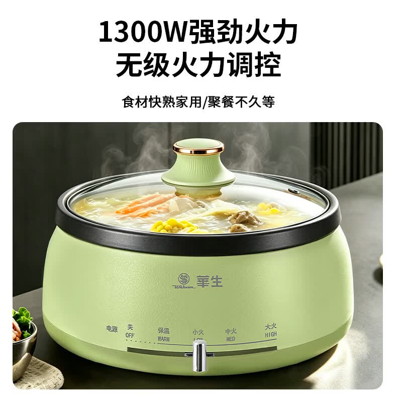 华生(Wahson)电火锅分体式可拆洗家用大容量火锅专用锅电煮锅电炒锅多功能不粘锅宿舍小电锅不锈钢电热锅 4L 【DRG-13-A10L绿色-煮涮煎炒】