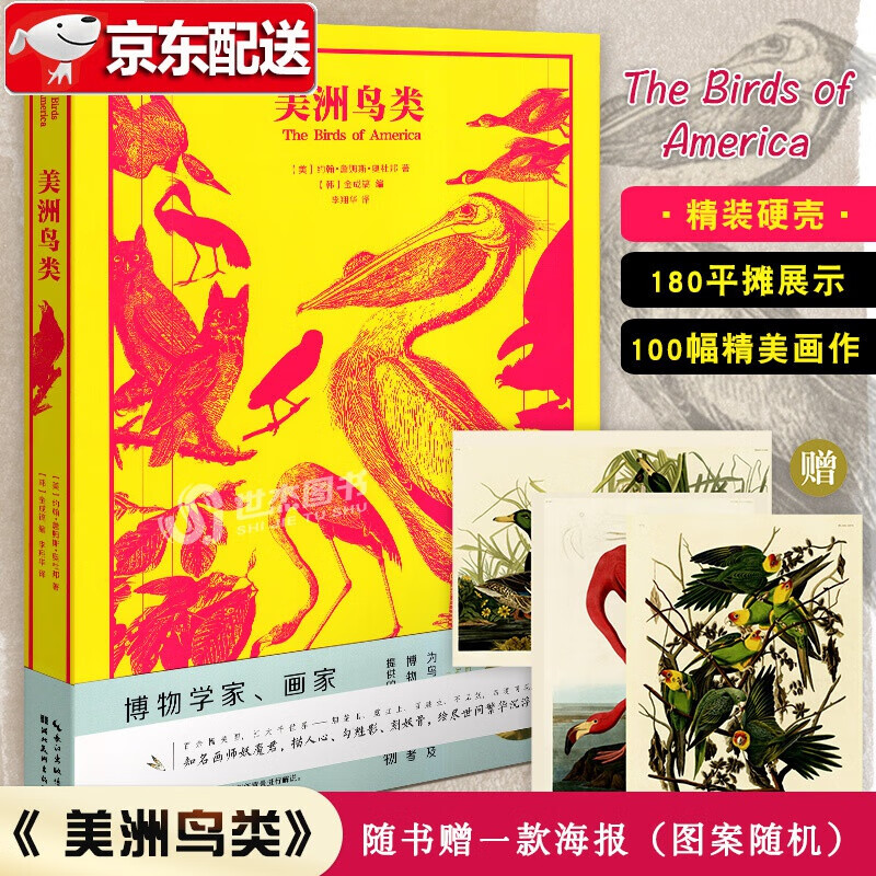 【赠海报】美洲鸟类 美国鸟类学之父奥杜邦 博物图鉴入门读物 鸟类大