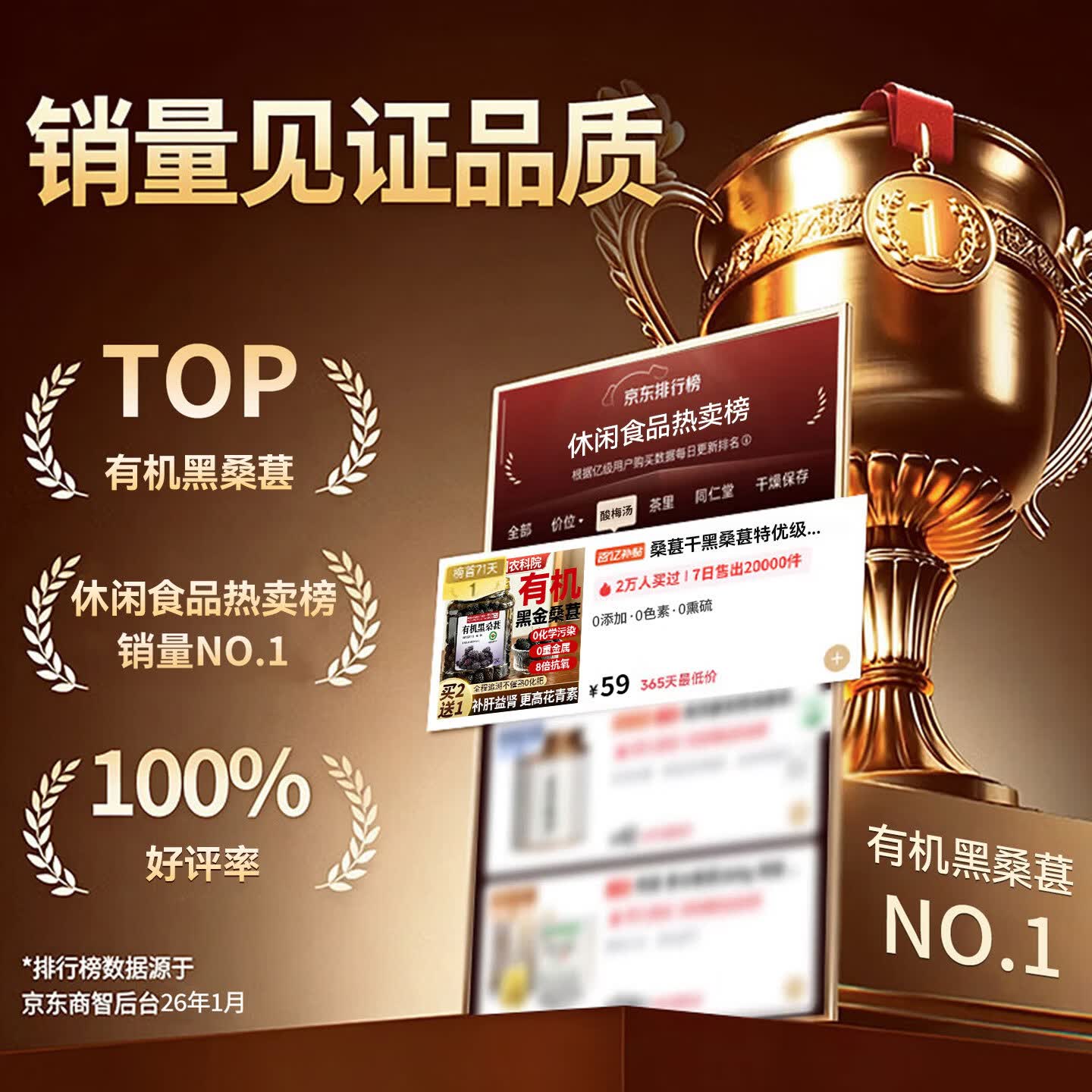 优卓桑葚干黑桑椹特级新疆原产有机黑桑葚干中药材泡水泡酒泡茶专用 【有机黑桑葚】农科院认证力荐 505g*1罐