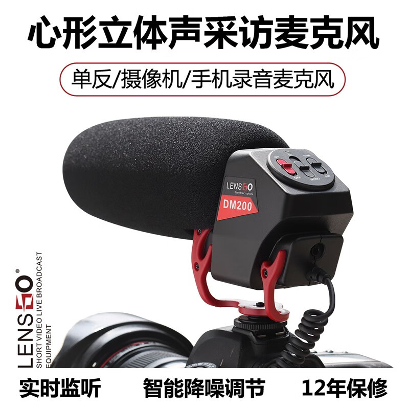 朗诗歌 麦克风LYM-DM300单反相机 摄像机外接录音枪式采访话筒 短视频拍摄指向性收音设备 DM200 型号