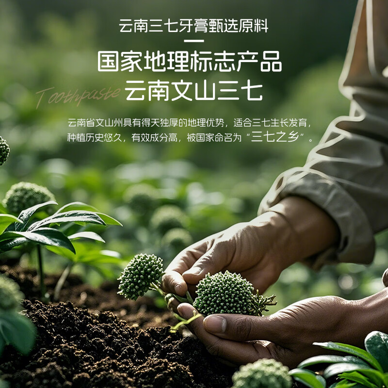 三七牙膏云南三七护龈中药牙膏成人清新去渍去口气经典薄荷正品 【4支装共480g】薄荷120g*2+留兰120g*2