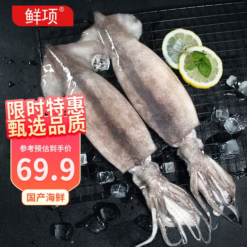 鲜项鲜冻整条大鱿鱼2-4条净重2斤 火锅烧烤食材 海鲜生鲜软足送礼