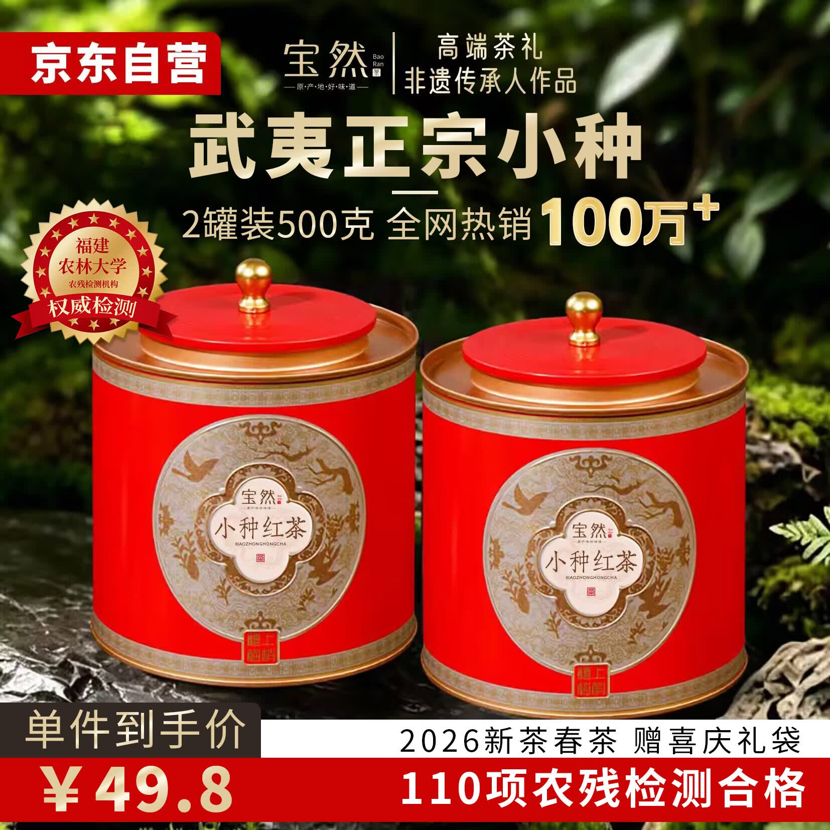 宝然正山原产小种红茶2026新茶蜜香型2罐共500g茶叶礼盒中秋节 送教师