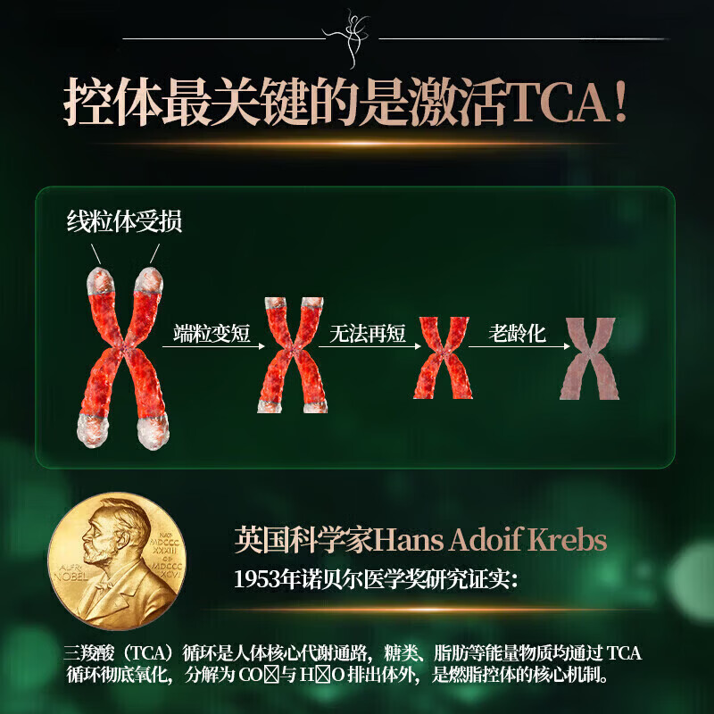 JY荷姿【管不住嘴】科学配比提高代谢减脂塑形减小腹个人护理 五瓶装【塑造身形】 60粒/瓶