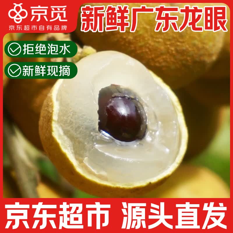 京觅广东储良龙眼现摘净重5斤桂圆眼老树短枝新鲜水果源头直发包邮