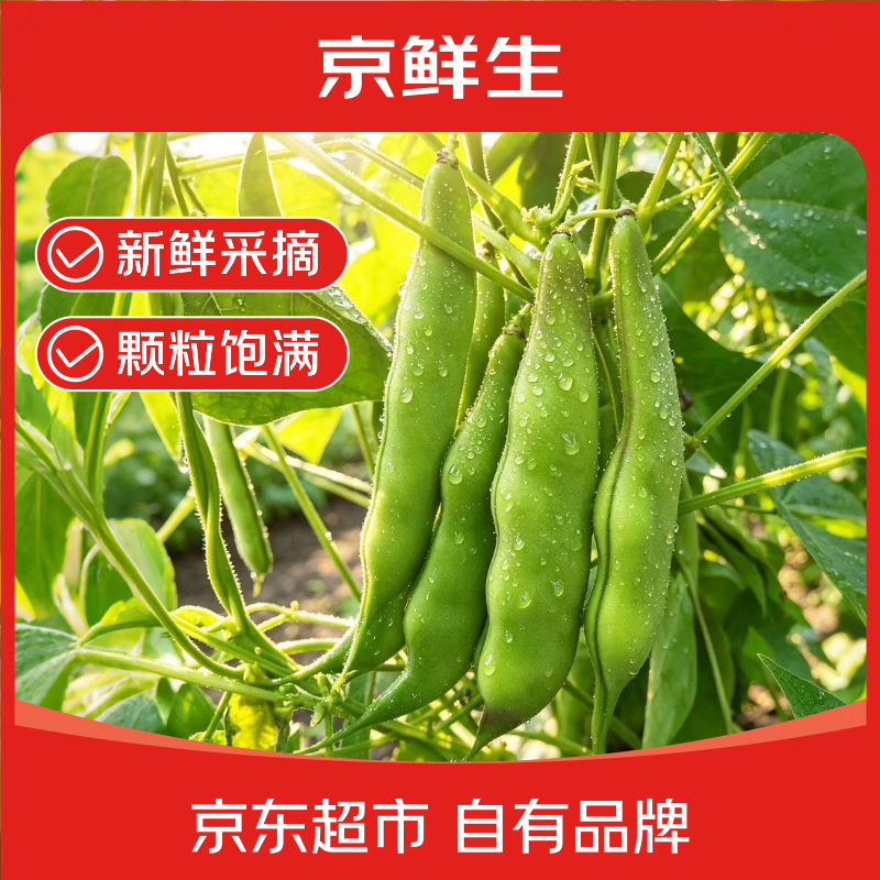 京鲜生东北新鲜油豆角4.5斤装新鲜蔬菜源头直发包邮